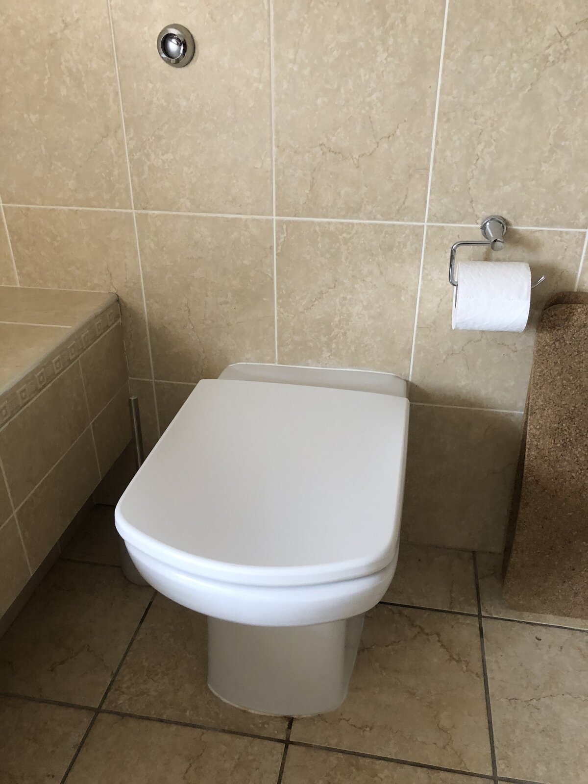 Toilet Flush Button Stuck In DIYnot Forums