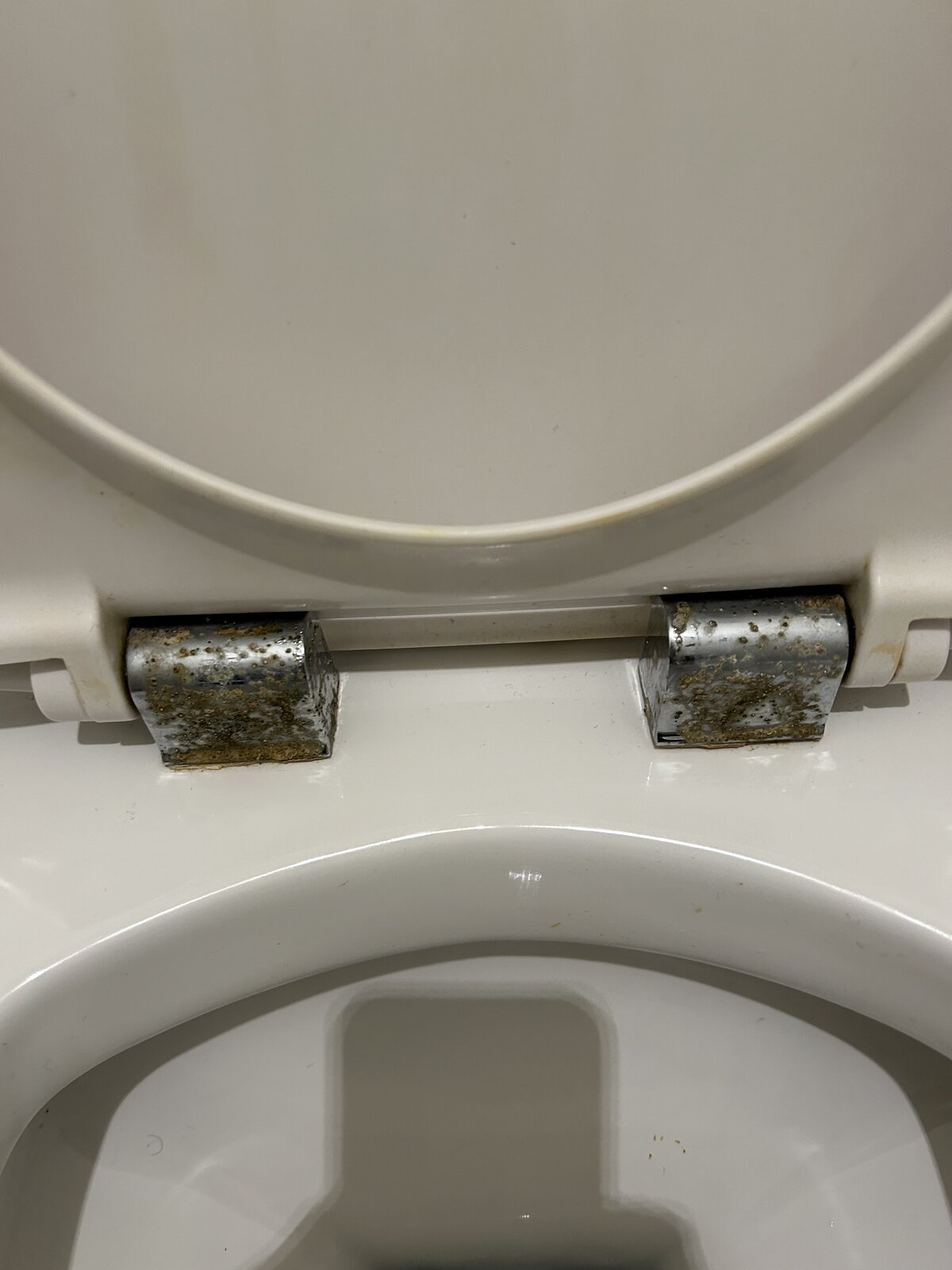 Help to take off toilet seat. DIYnot Forums