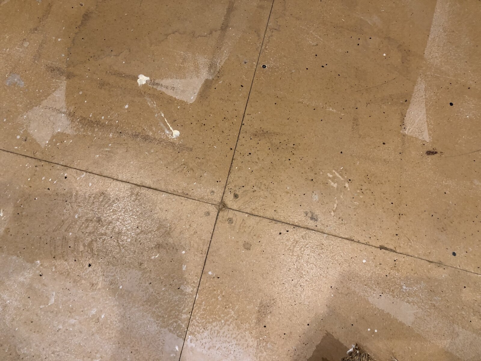 Creaking floorboards and underlay stuck? DIYnot Forums