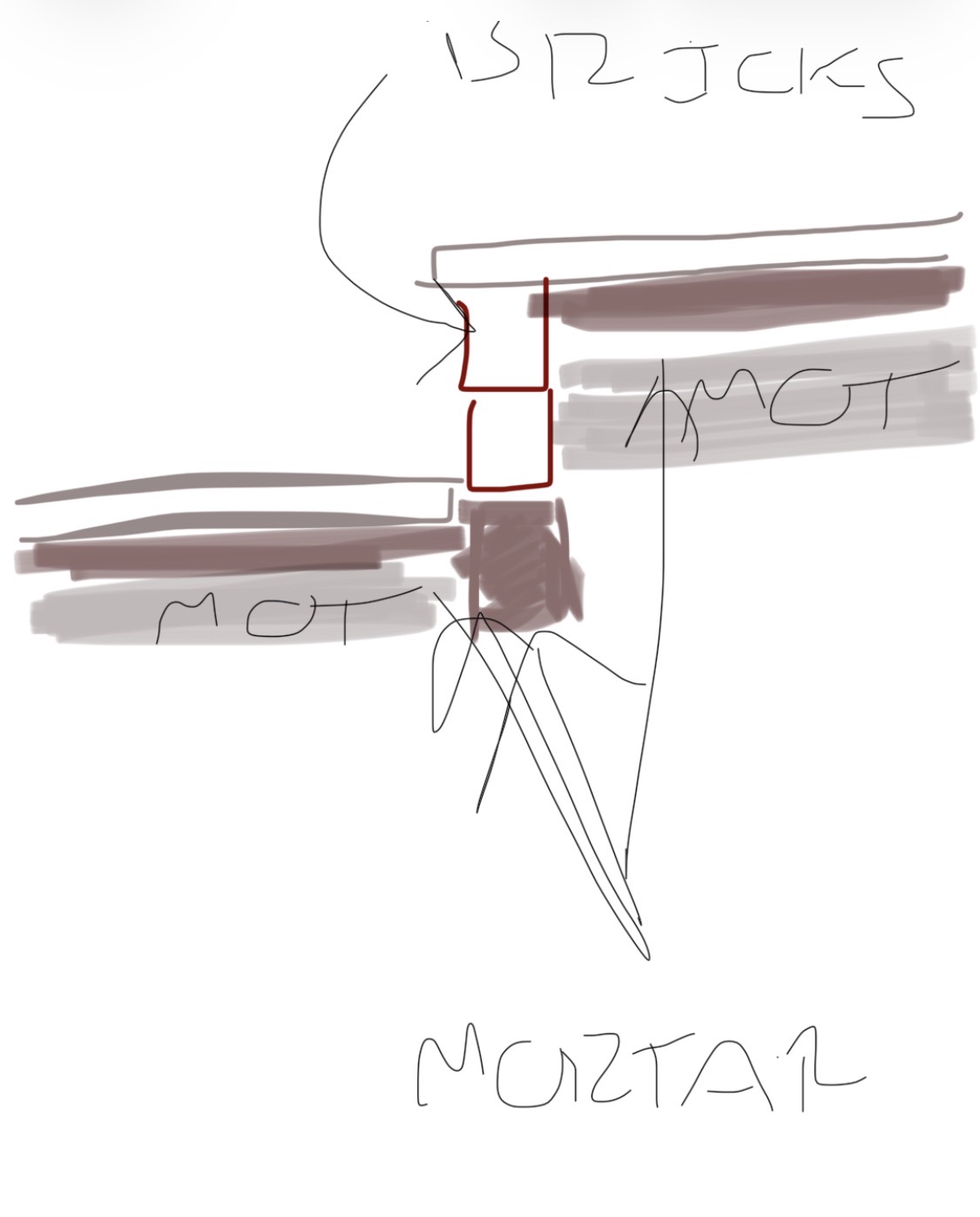 IMG_8102.jpeg