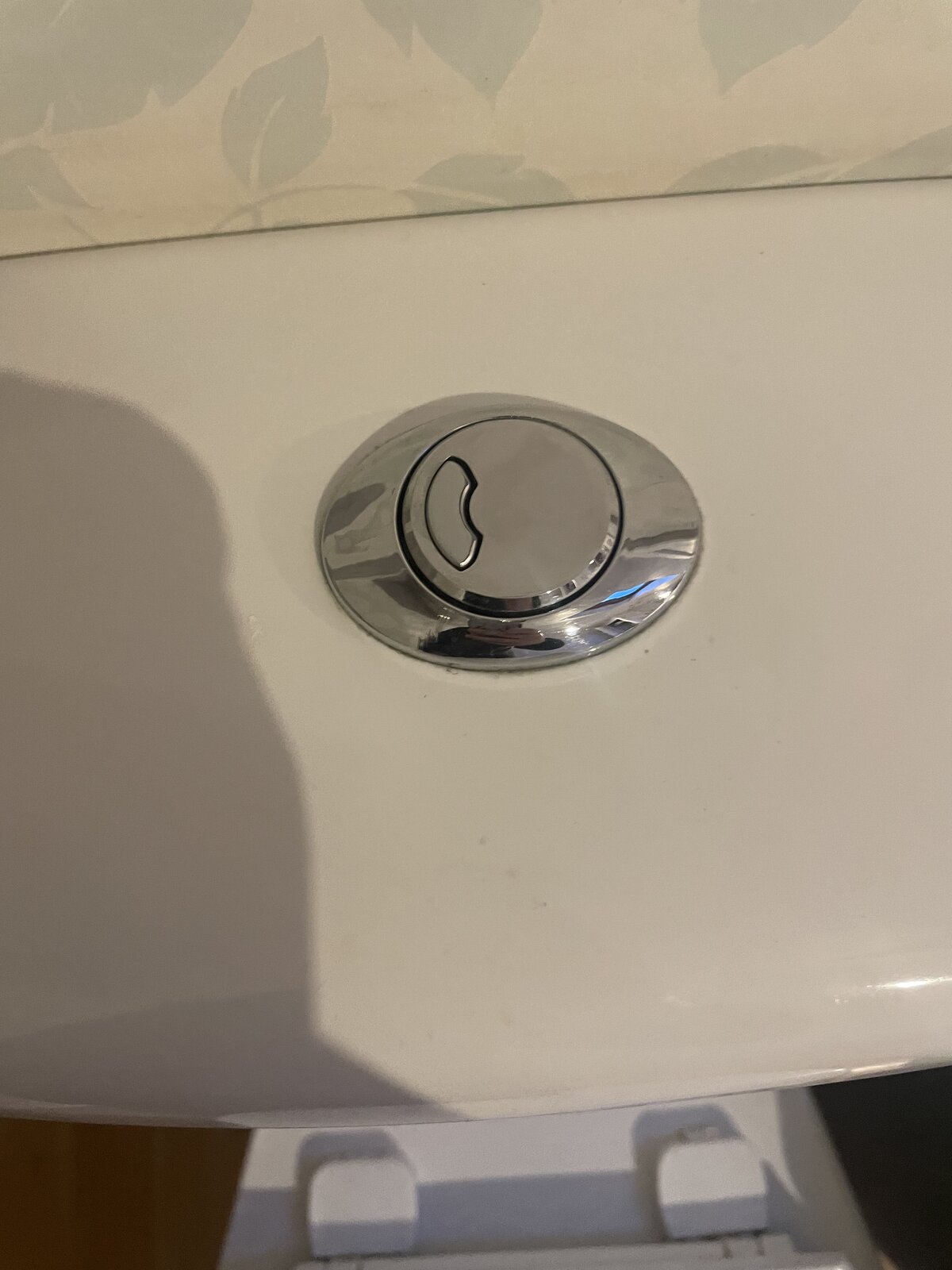 Push button flush not working DIYnot Forums