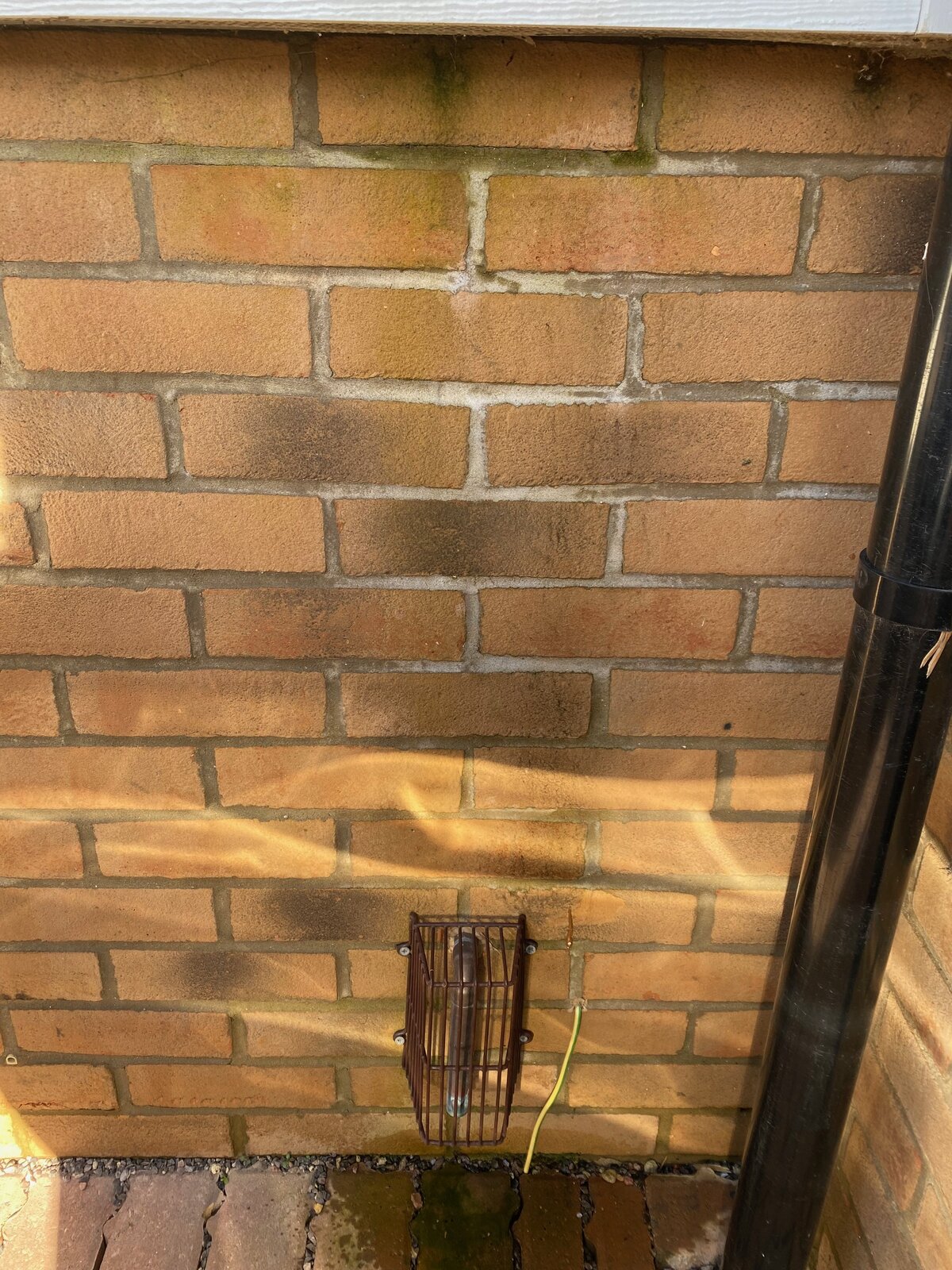 Condenser Boiler Overflow Drip. DIYnot Forums