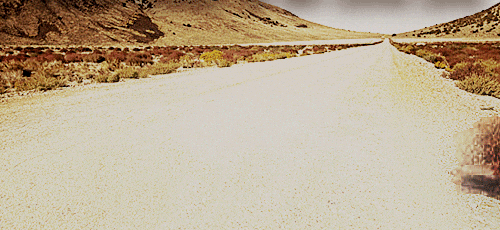 IMG_9058.gif