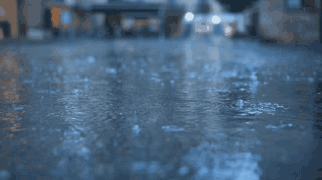 IMG_9222.gif