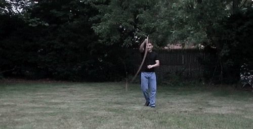 IMG_9231.gif