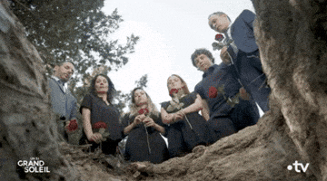 IMG_9468.gif