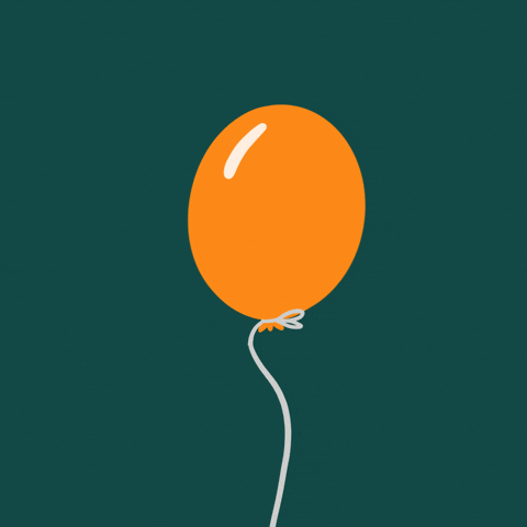 IMG_9475.gif