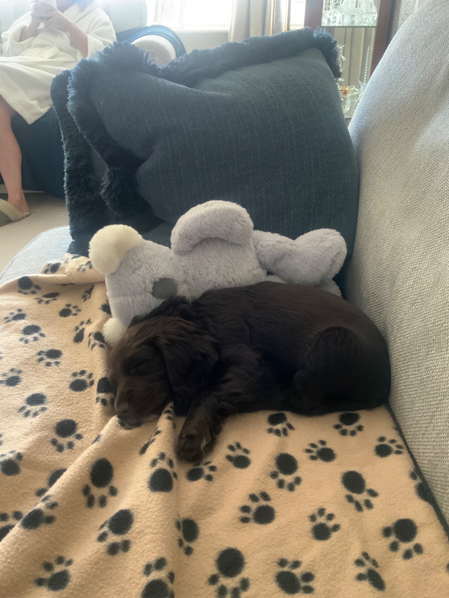 IMG_9725.jpeg