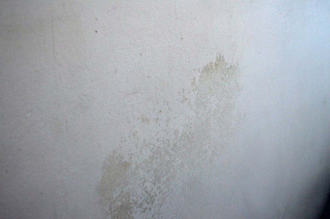 inside - dampmounld.jpg