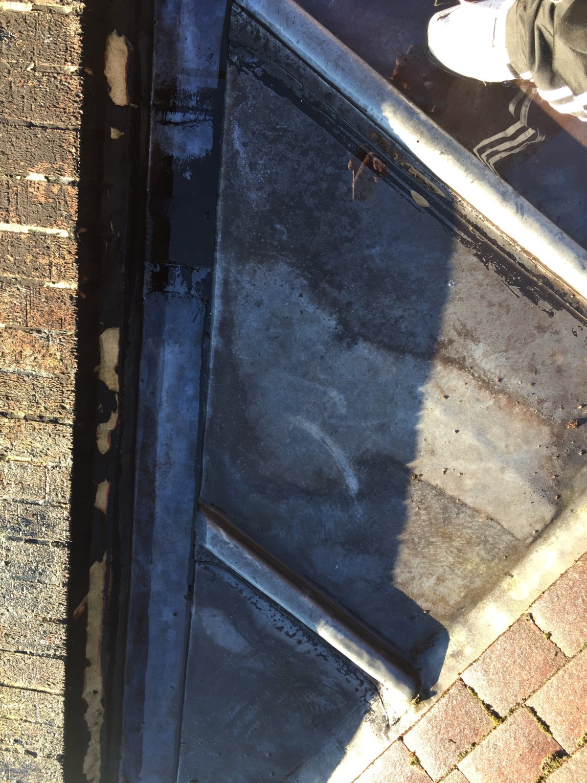 iOS Image - 1090680308.jpg