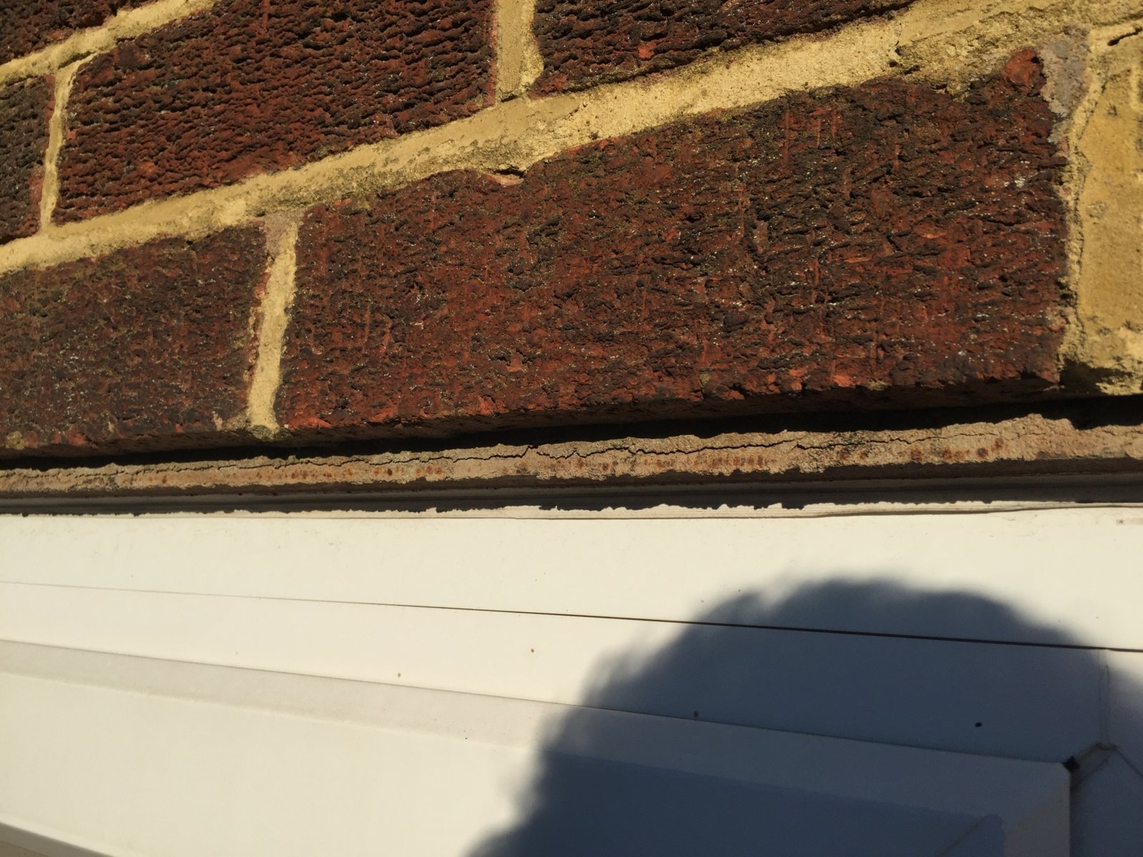 iOS Image - 1172168984.jpg