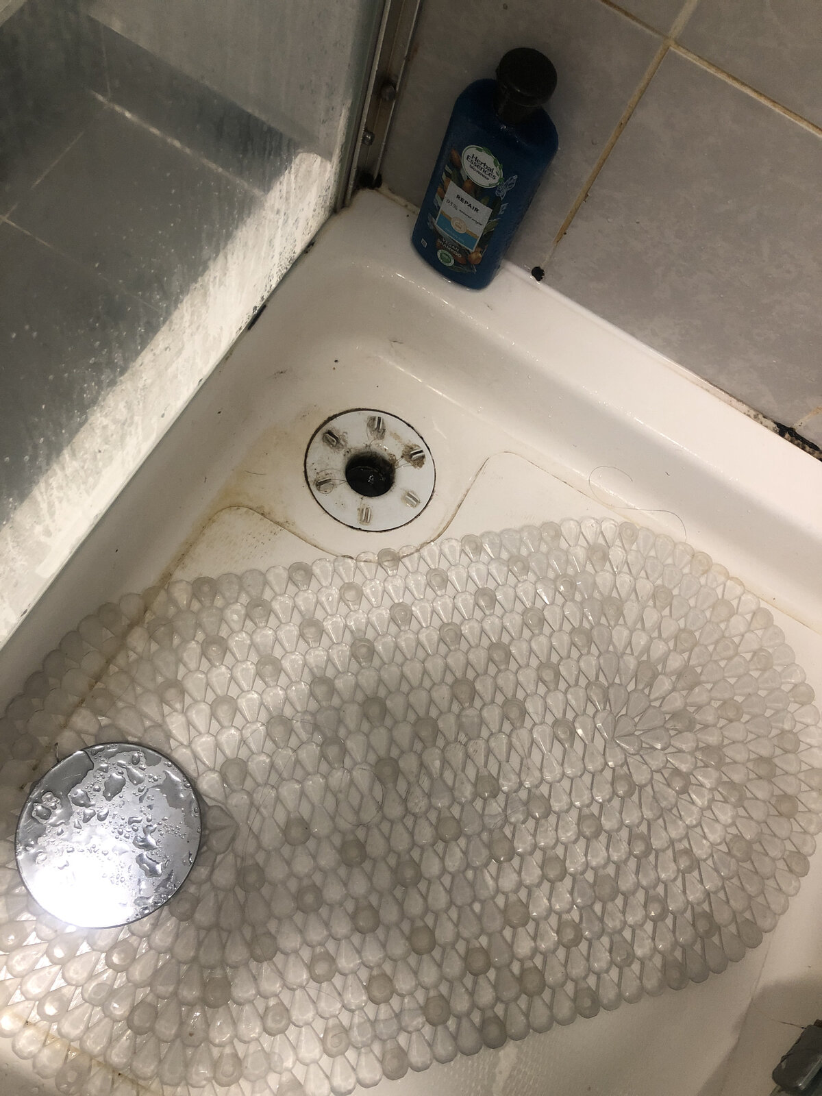 iOS Image - 14042182.jpg