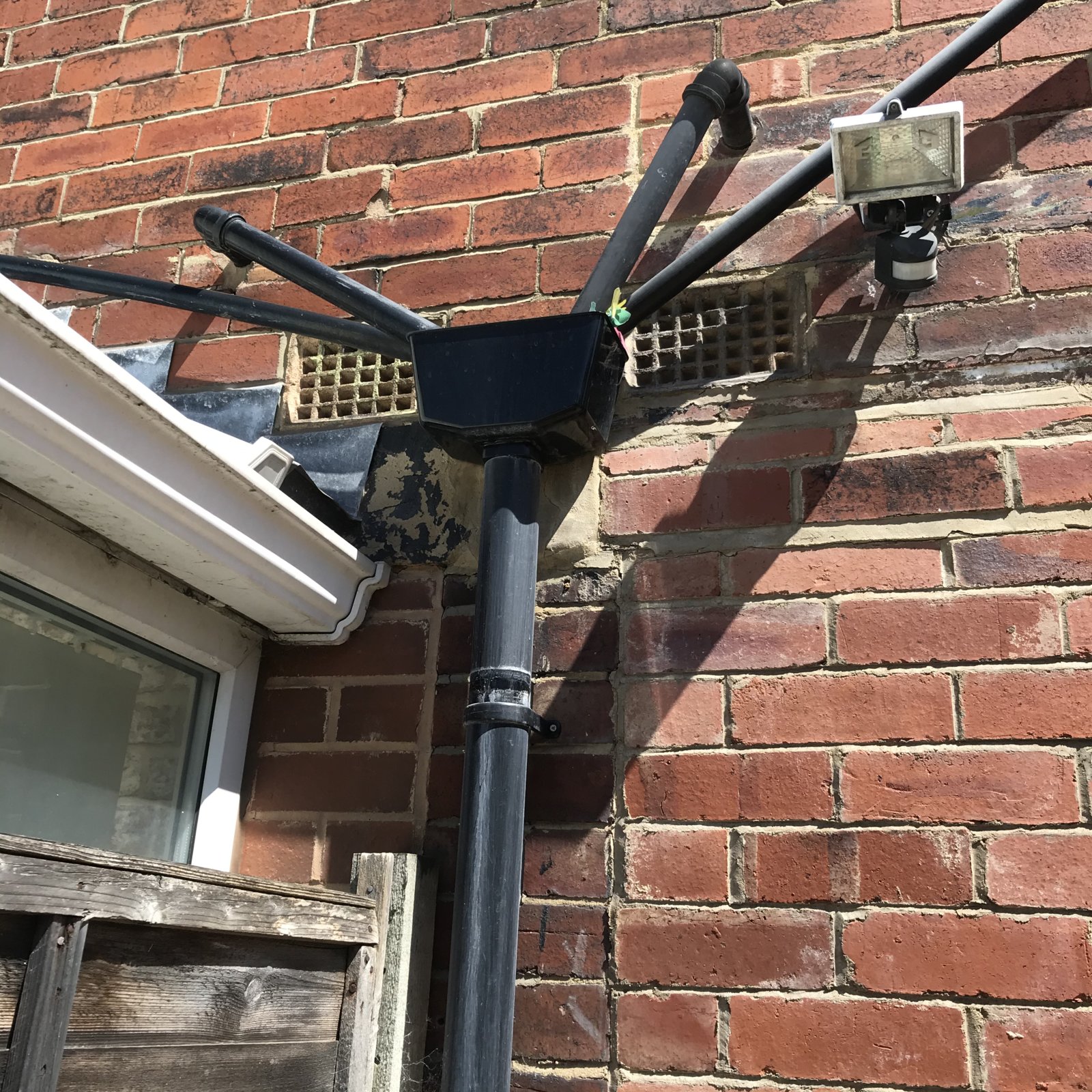 iOS Image - 1418841646.jpg