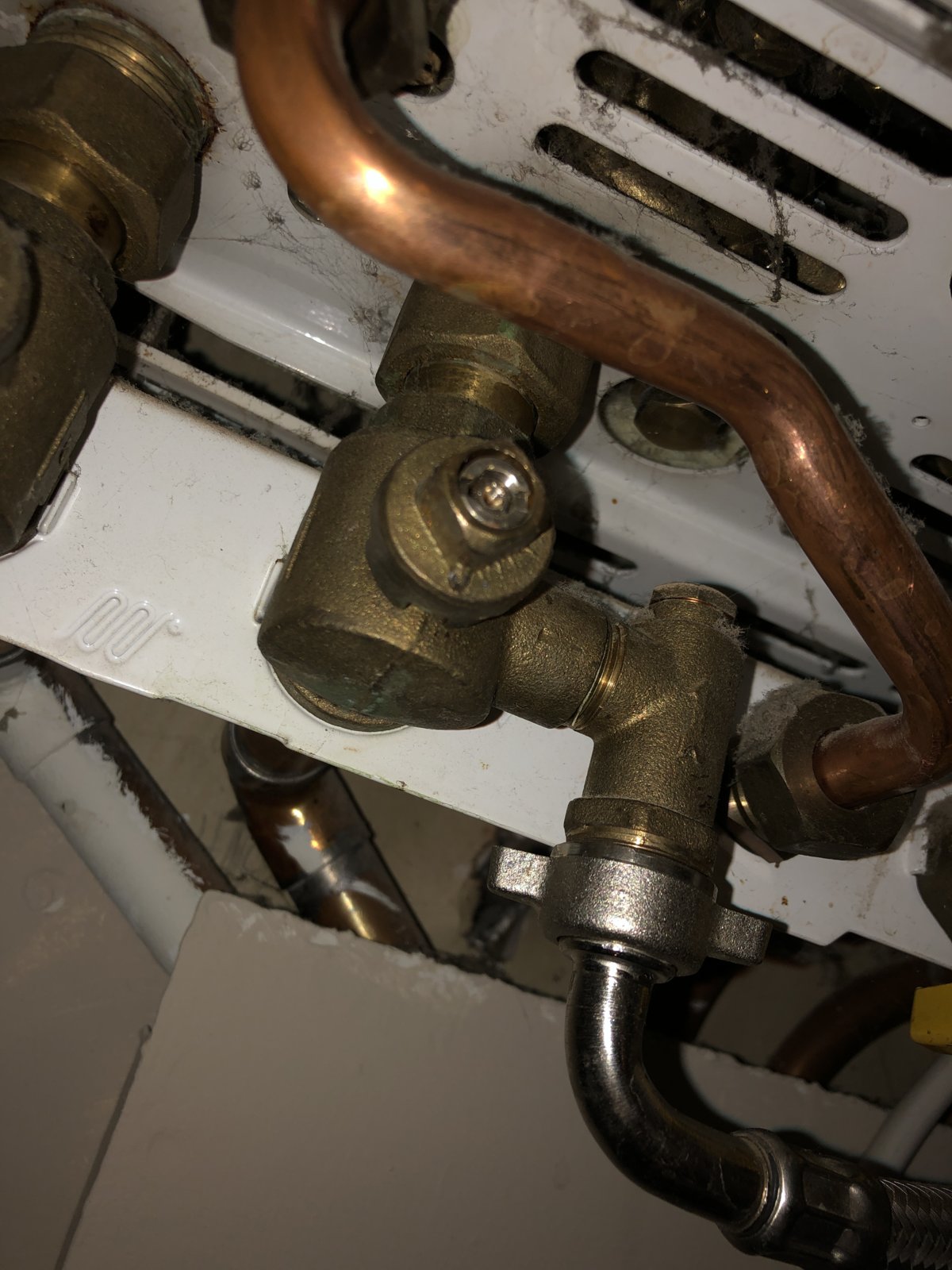 iOS Image - 1637076795.jpg