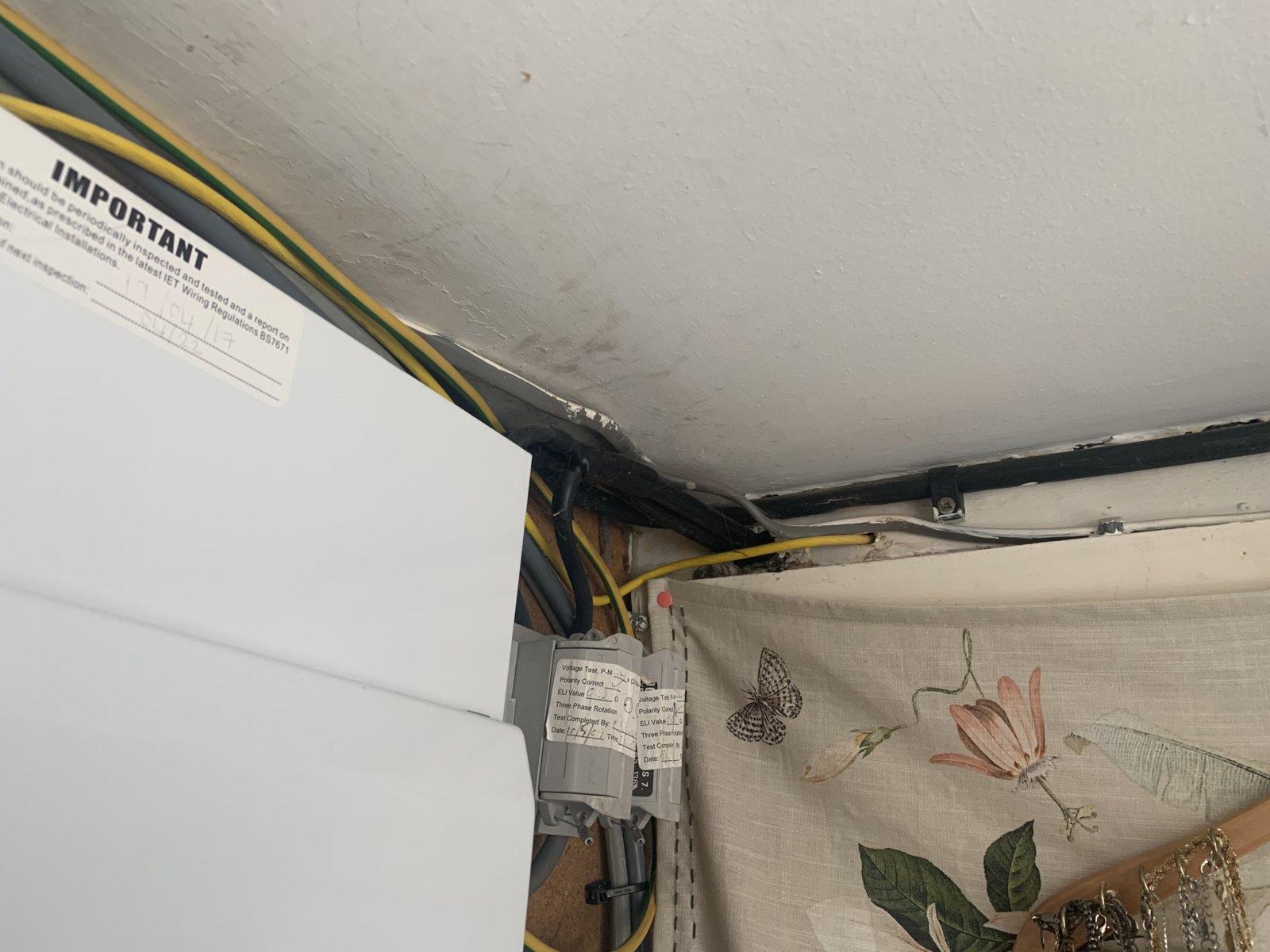 iOS Image - 2011581377.jpg