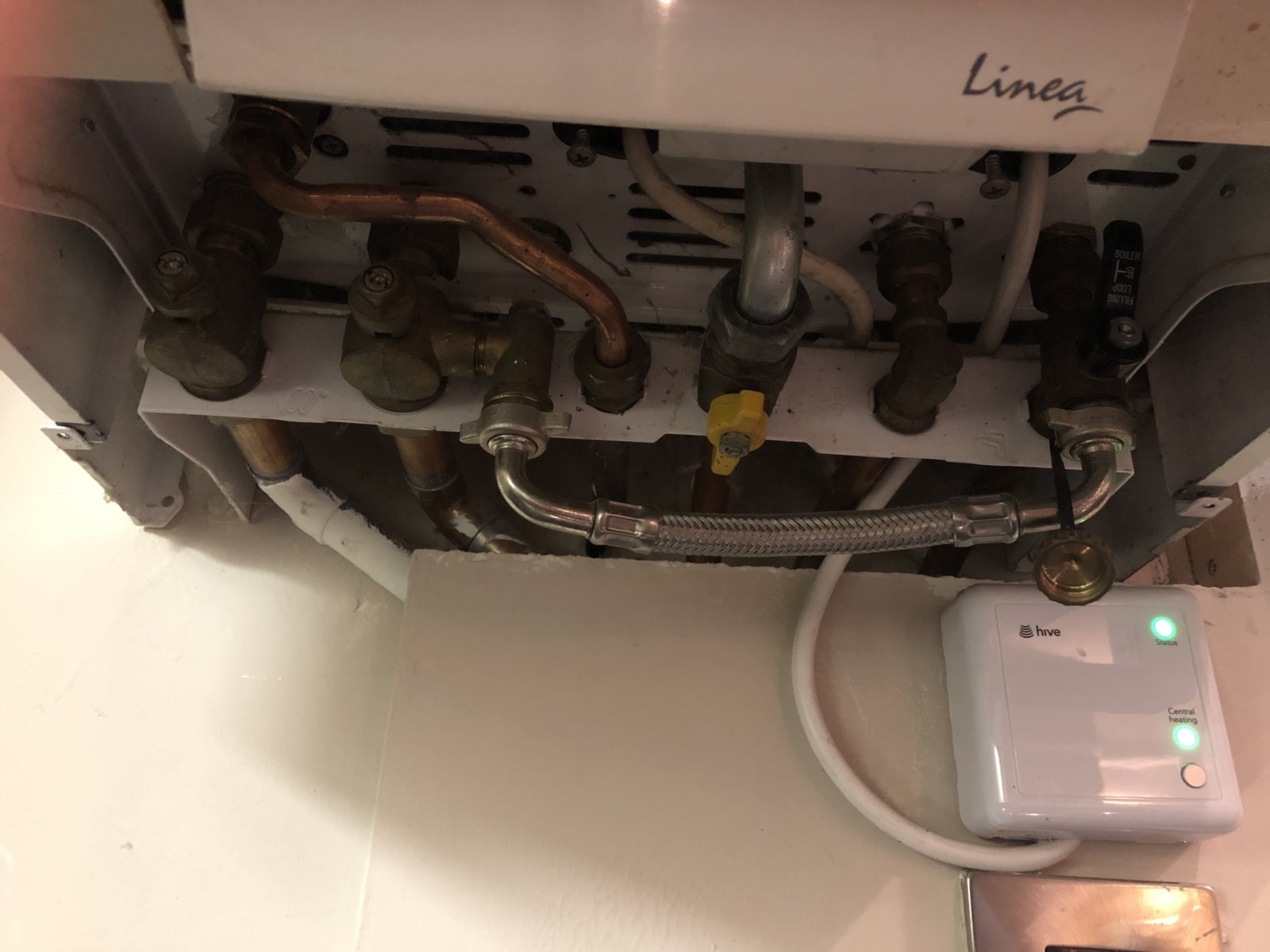 iOS Image - 217116482.jpg