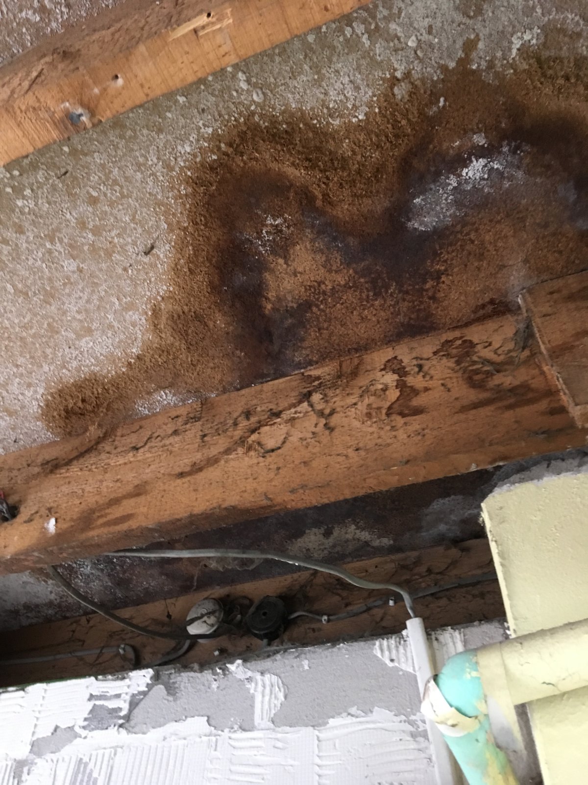 iOS Image - 2260152413.jpg