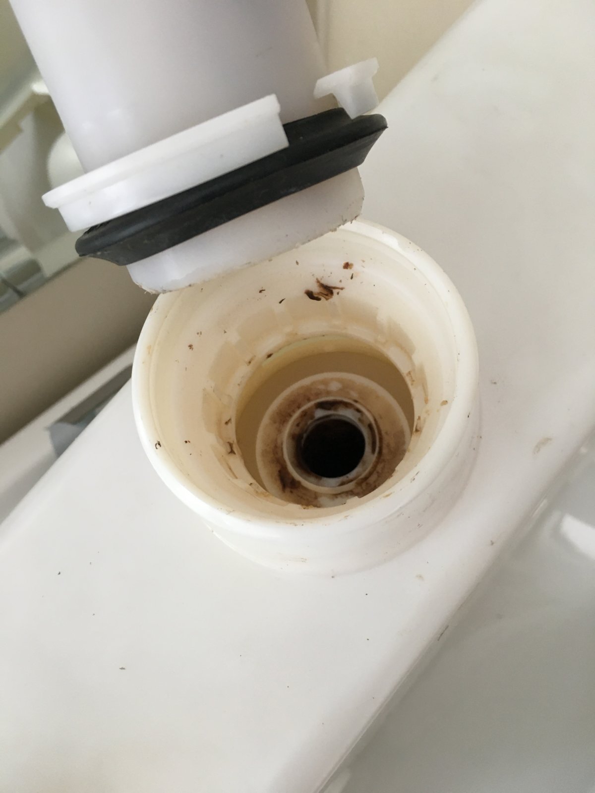 iOS Image - 2274451844.jpg