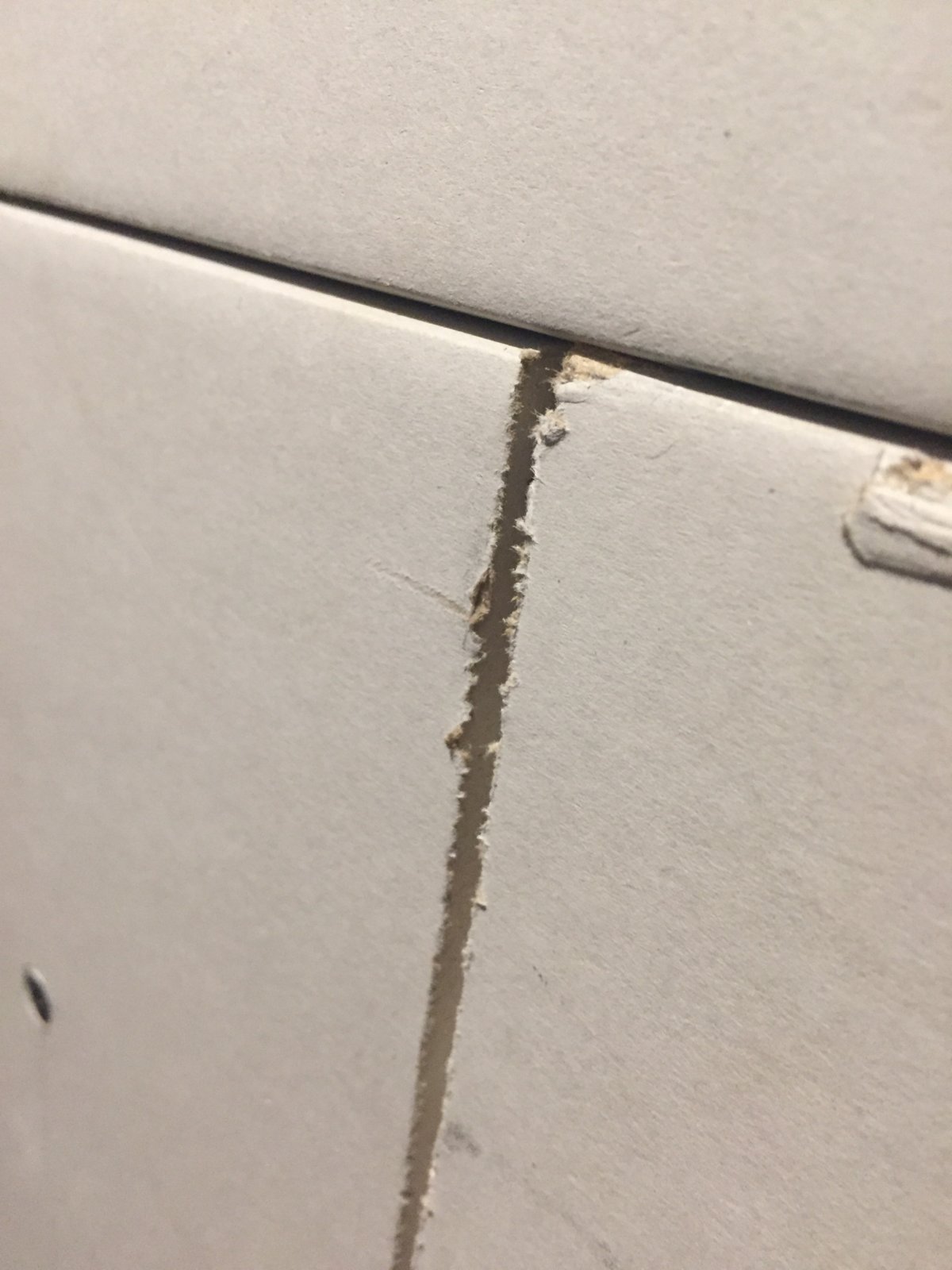 iOS Image - 2765629680.jpg