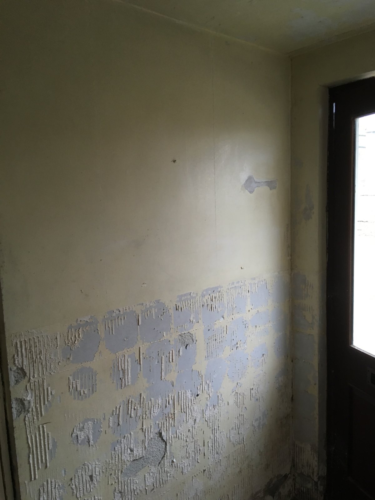 iOS Image - 2817401360.jpg