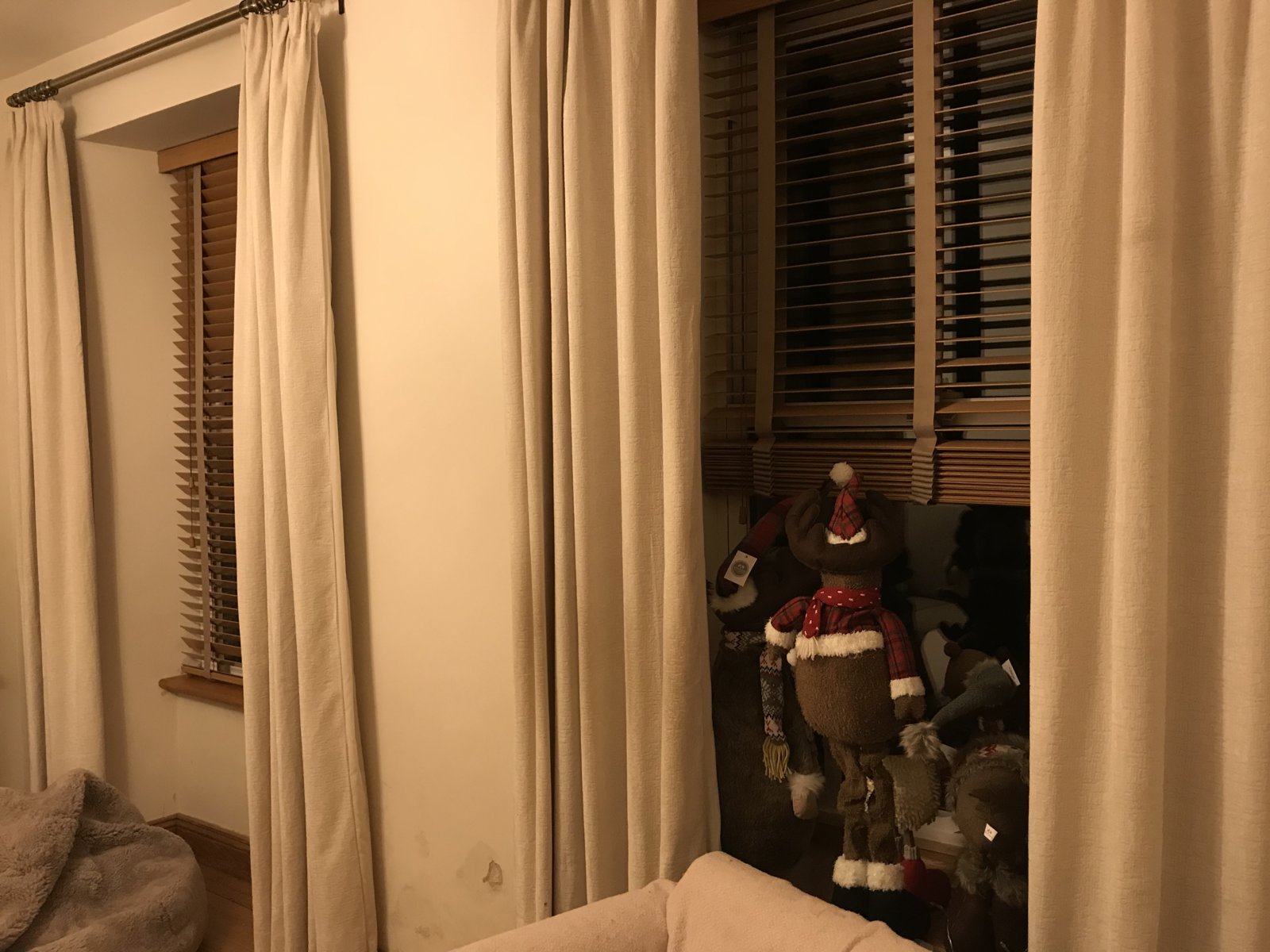 iOS Image - 3120459439.jpg