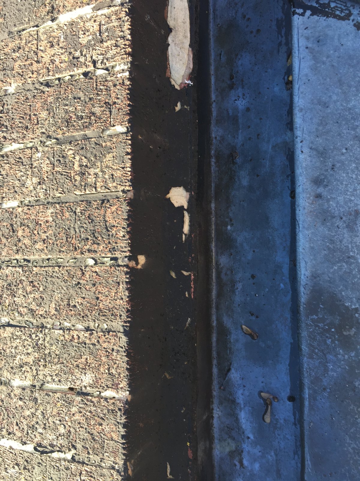 iOS Image - 3176749342.jpg