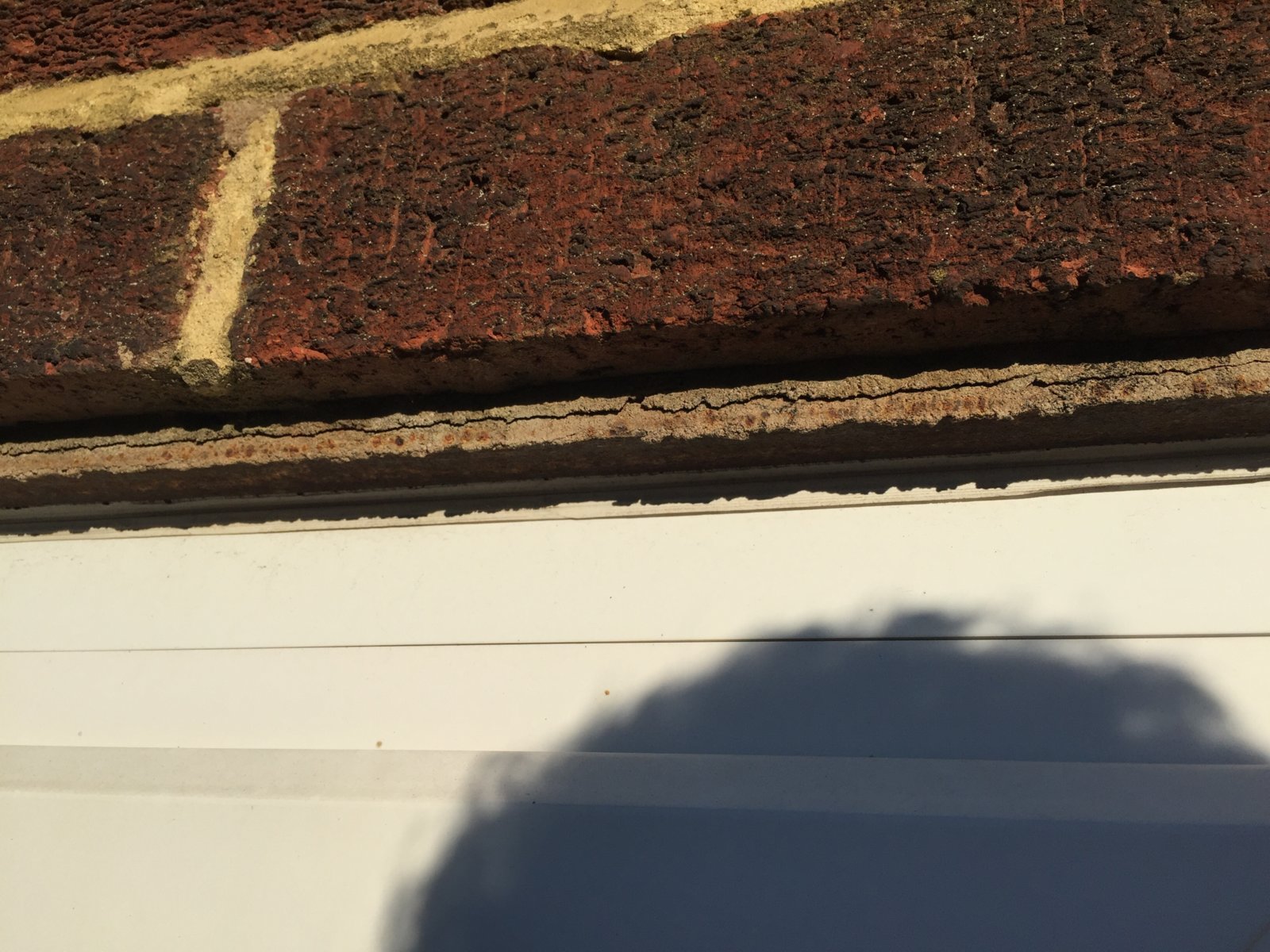 iOS Image - 3188991741.jpg