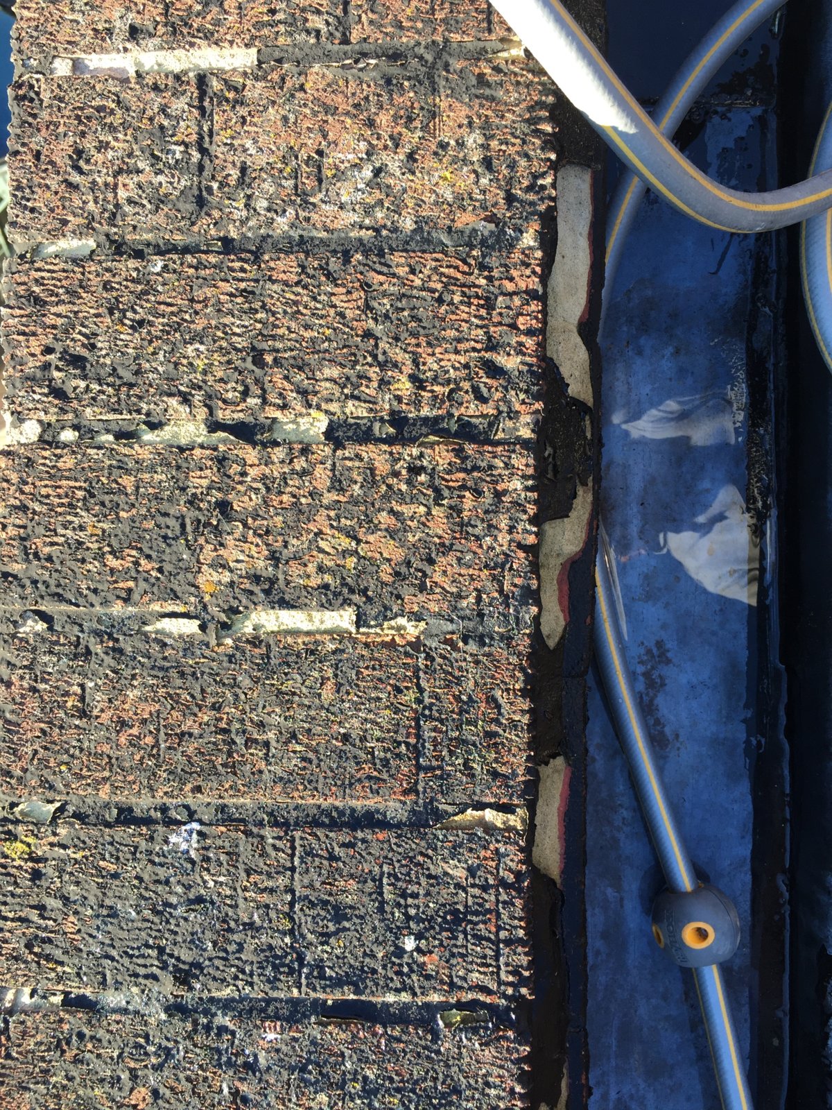 iOS Image - 3458373788.jpg