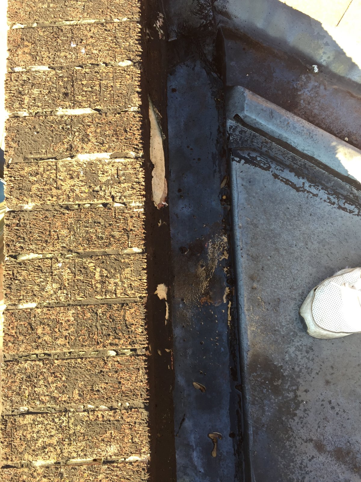 iOS Image - 359846180.jpg