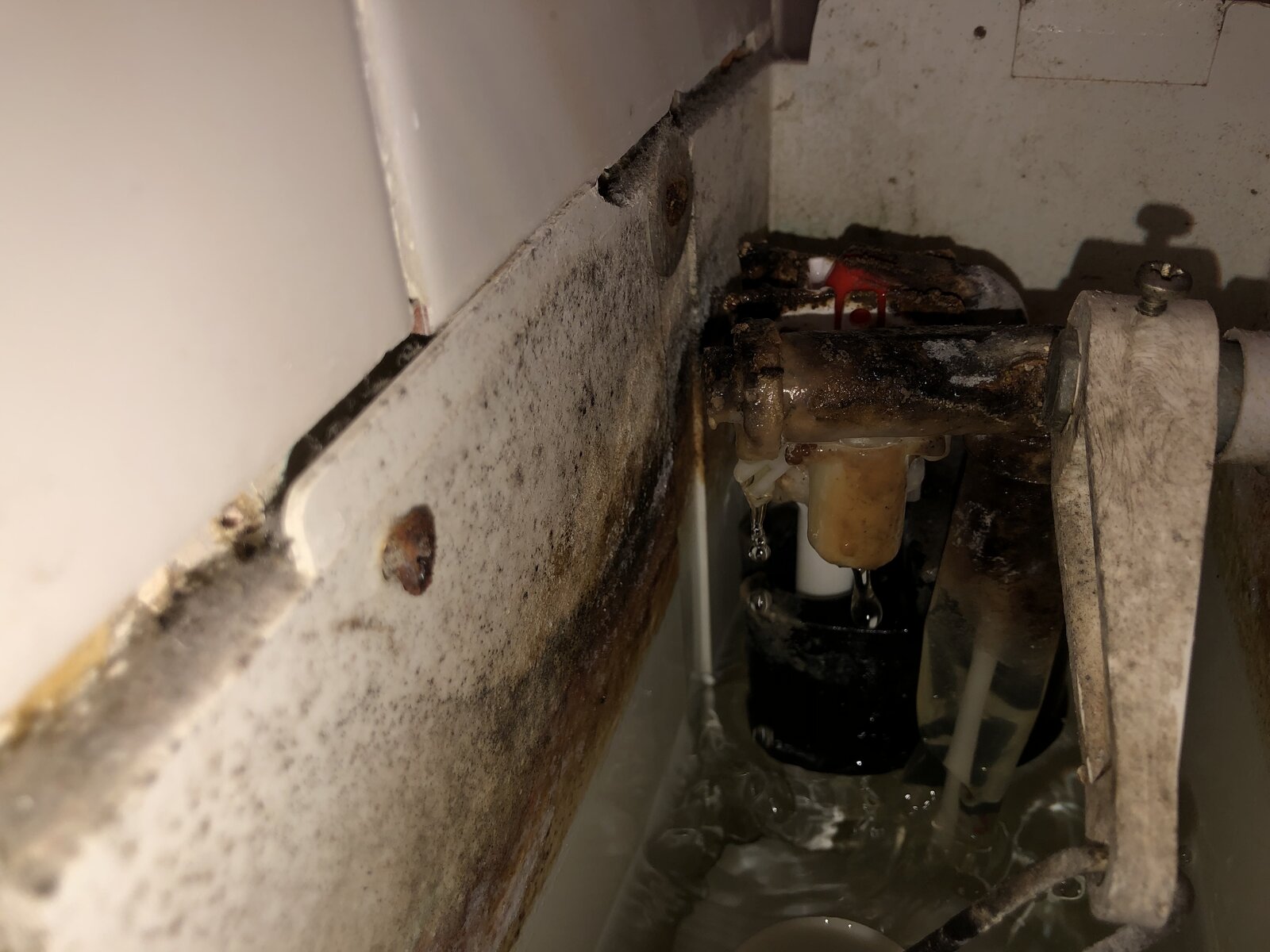 iOS Image - 3752689993.jpg