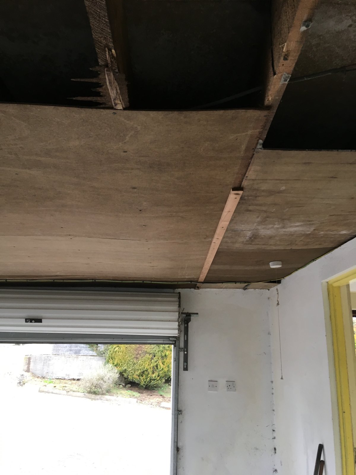 iOS Image - 3837859630.jpg