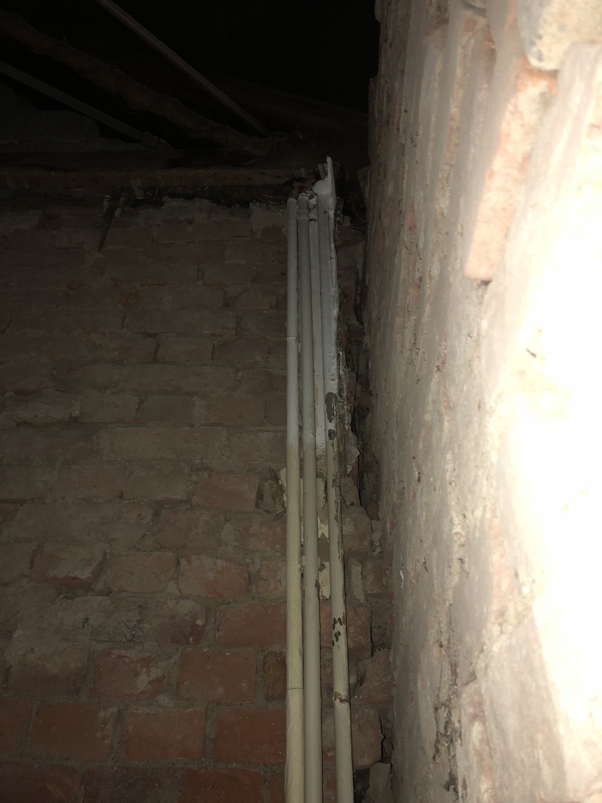 iOS Image - 3877434993.jpg