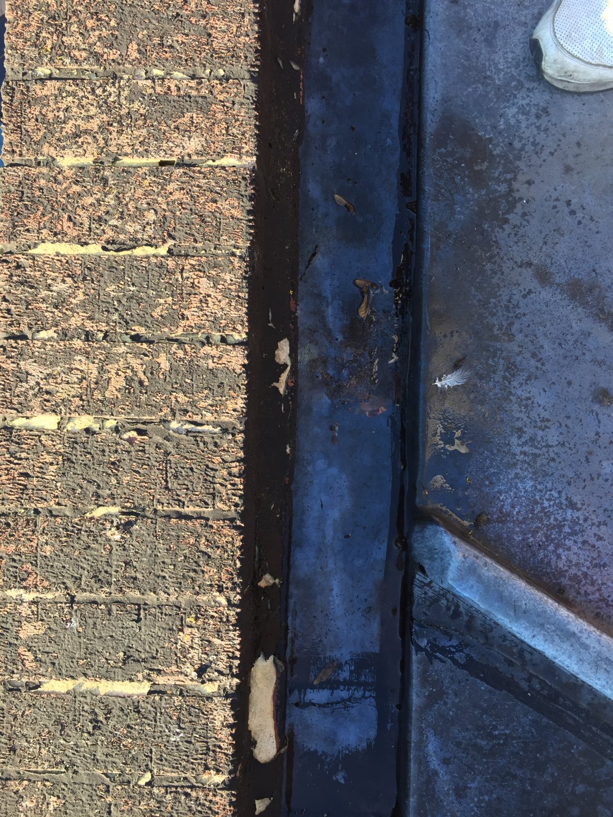 iOS Image - 3968839.jpg