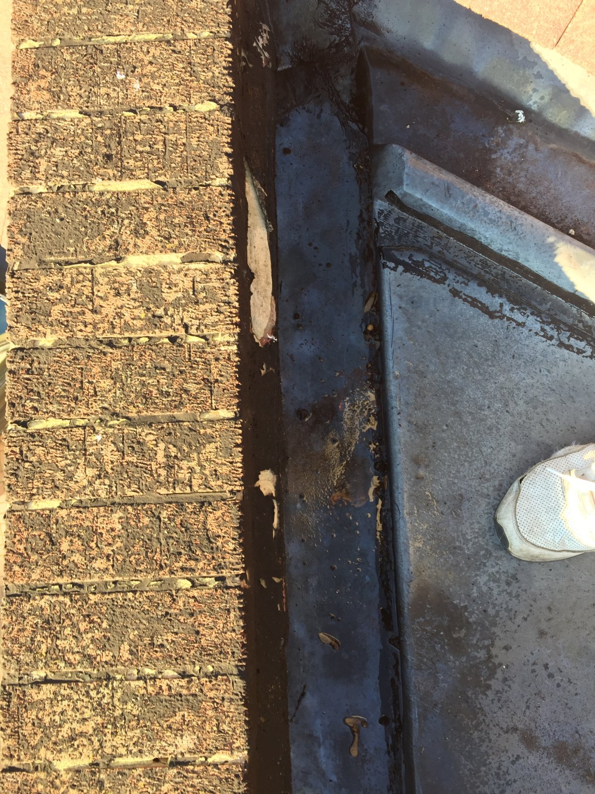 iOS Image - 3990433122.jpg