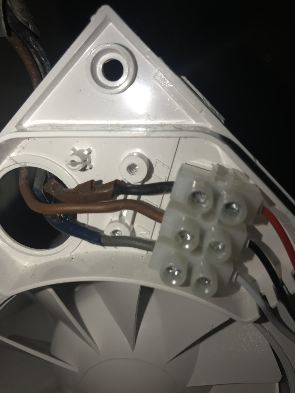 iOS Image - 4049161762.jpg