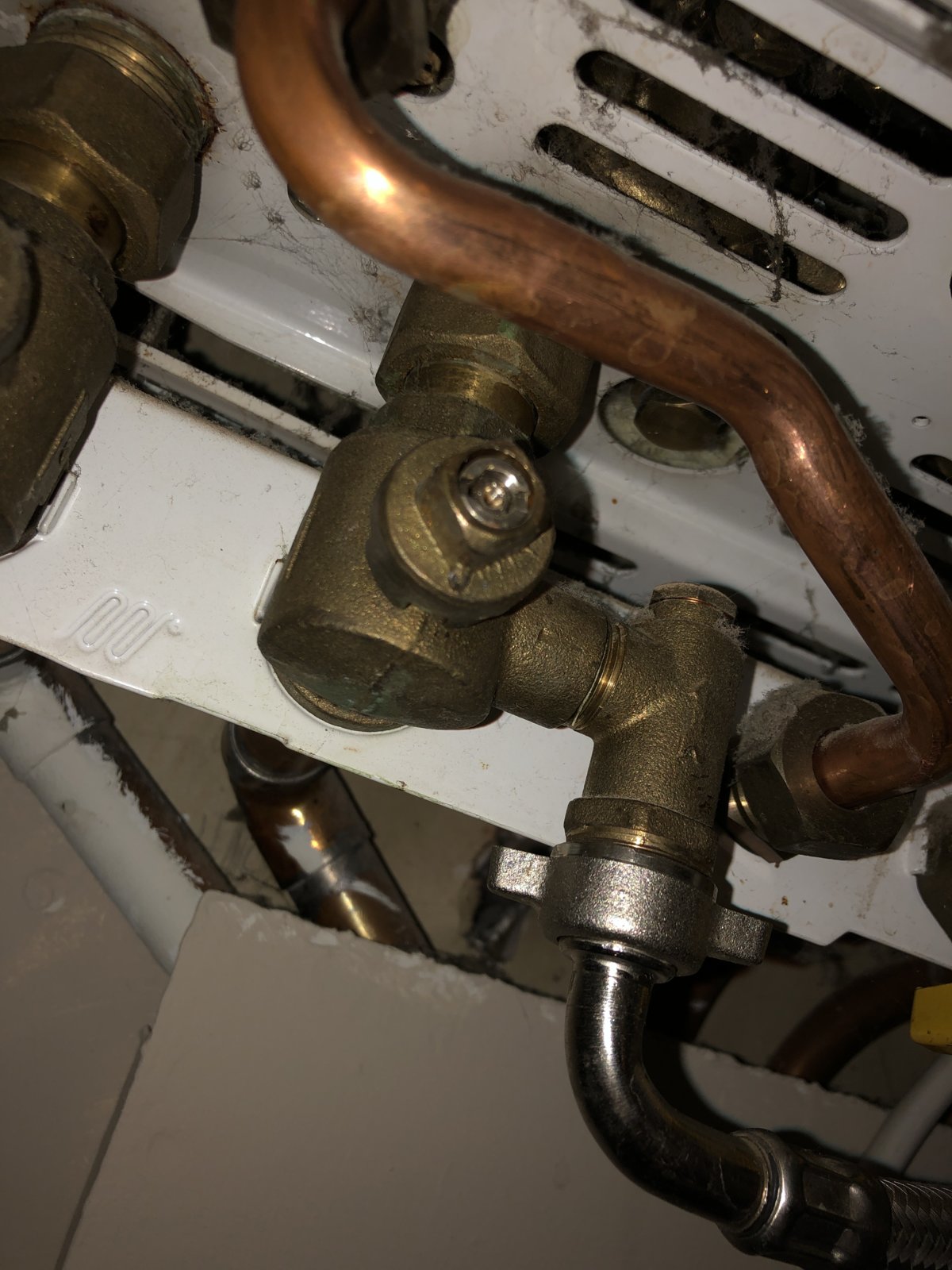 iOS Image - 4118150656.jpg