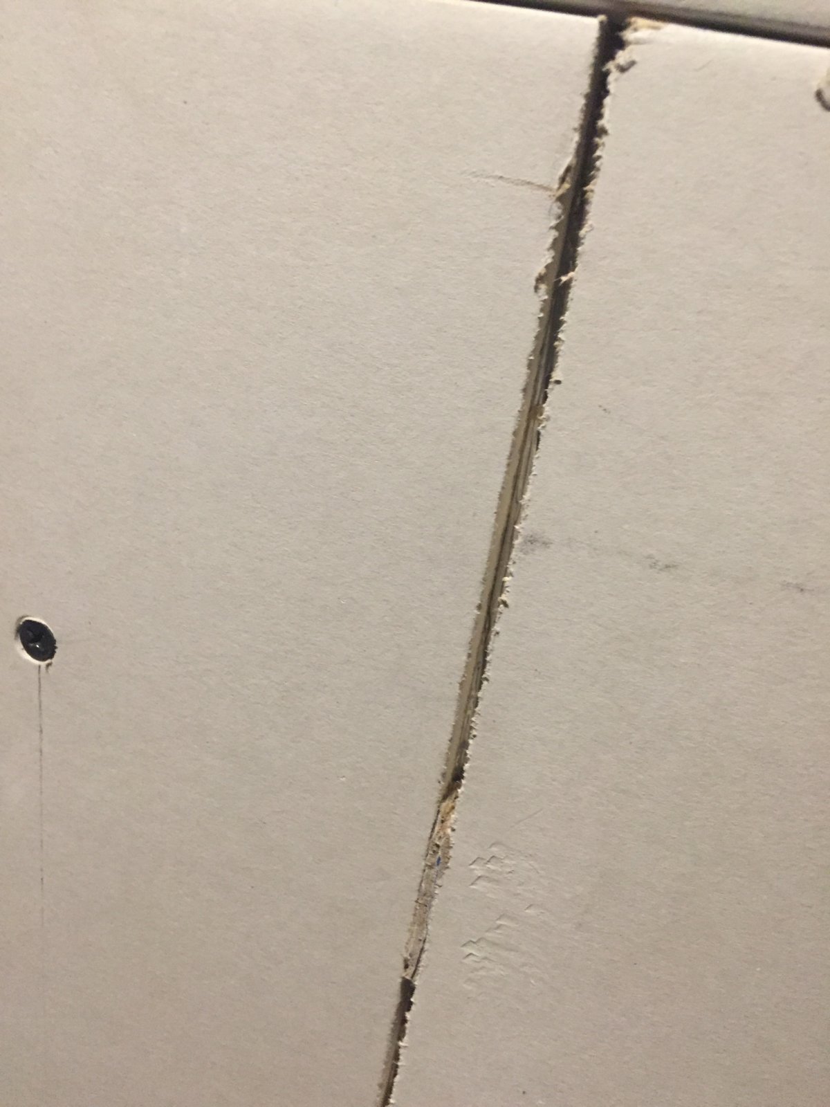 iOS Image - 4138928626.jpg