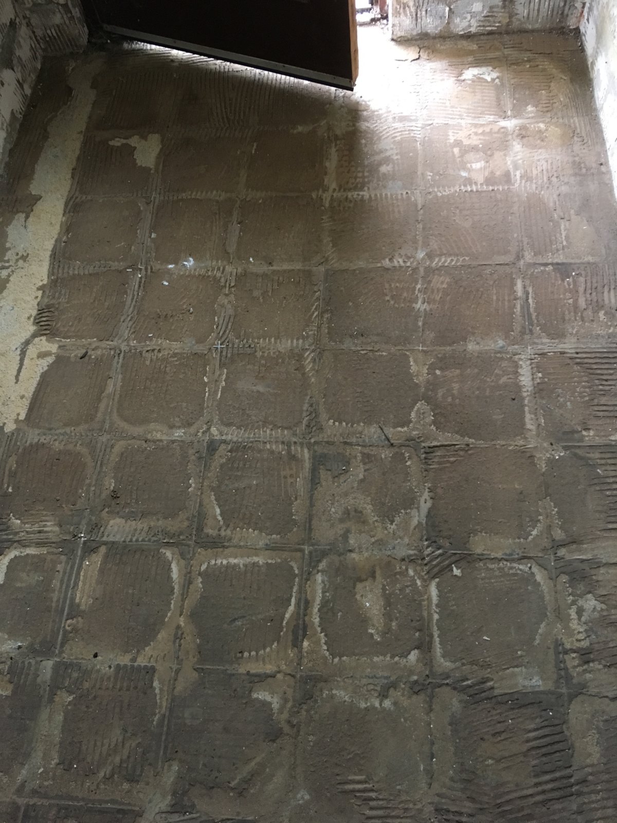 iOS Image - 54388476.jpg