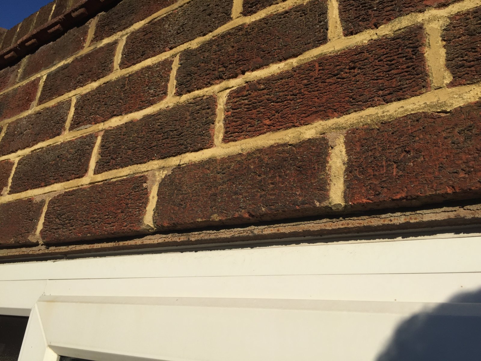 iOS Image - 60711031.jpg