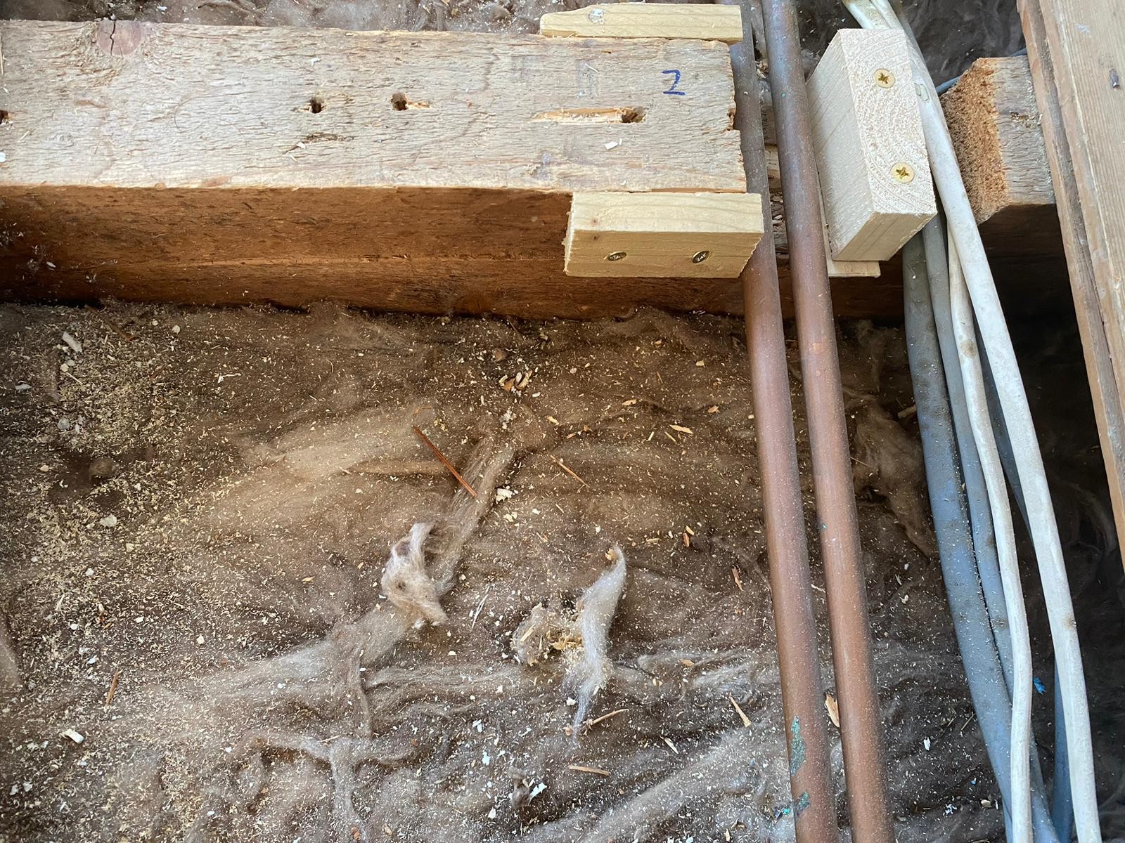 Joist above and notch.jpeg