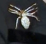 LadyHaleSpiderBrooch.png