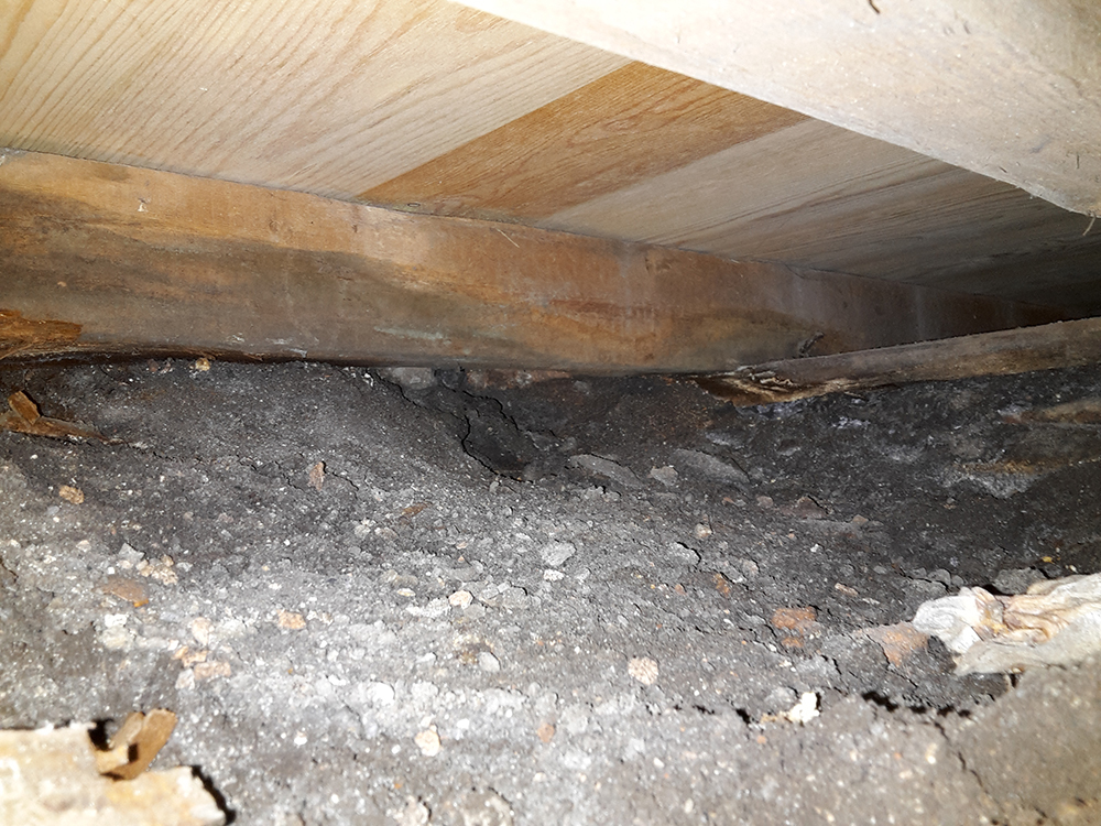left of joist.jpg
