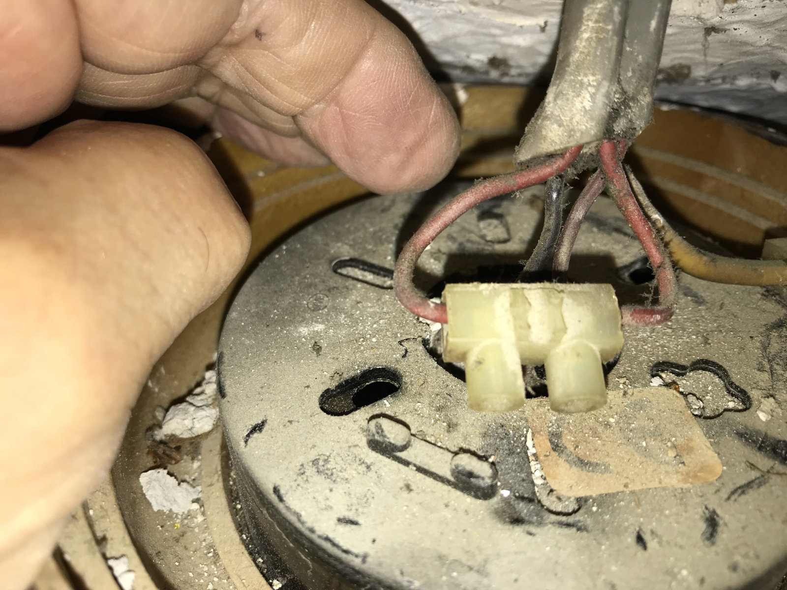 Light Fitting Wiring 3.jpg