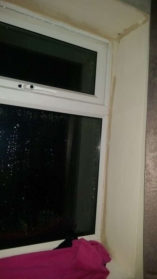 living room window.jpg