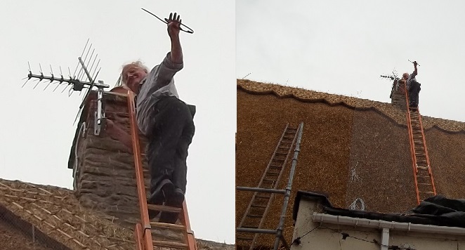 loony on  a ladder_3.jpg