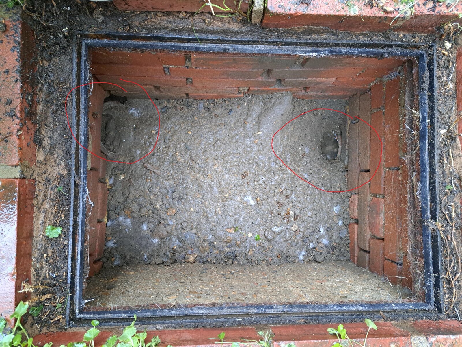 manhole with pipes circled.jpg