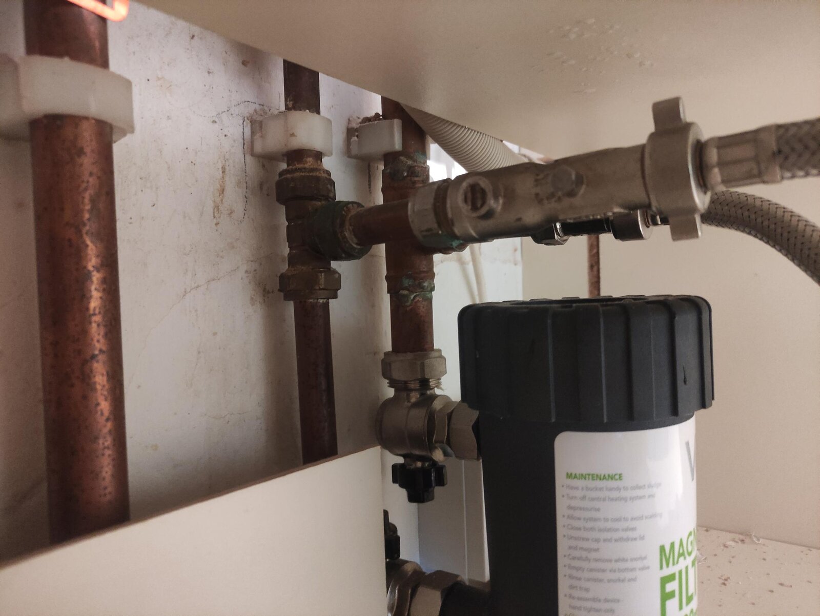 MicrosoftTeams-image (1).jpg