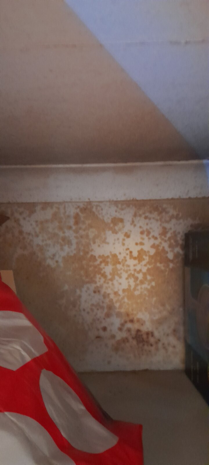 Brown Spots And Patches On Bedroom Wall