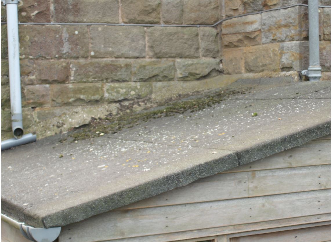 moss on shed roof.JPG