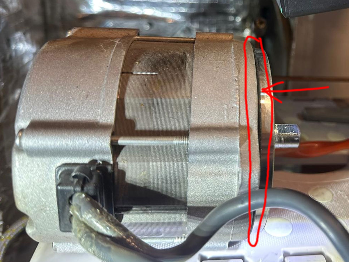 motor-seal.jpg